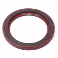 Фото: 5340.1005161 Манжета задняя
