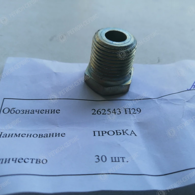 262543 П29-Пробка газового кронштейна фото