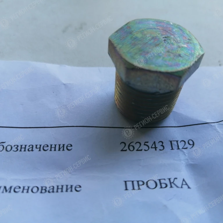 262543 П29-Пробка газового кронштейна фото